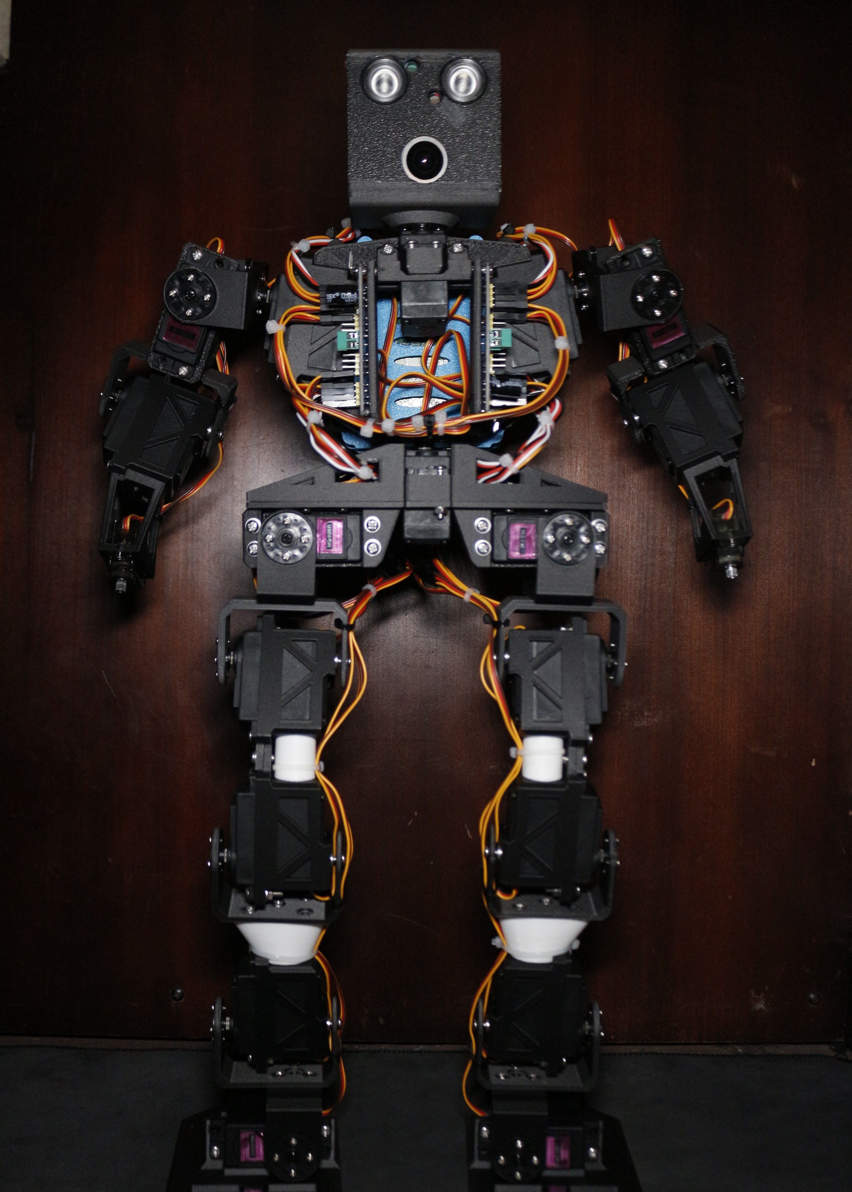 Humanoid